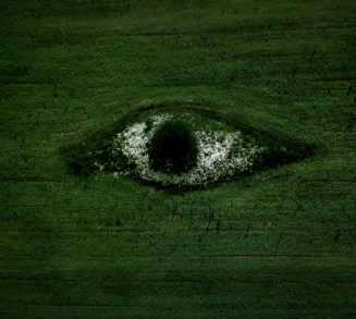 immagine evocativa della sostenibilità ambientale con un prato annaffiato e al centro una pozza d'acqua che raffigura un occhio